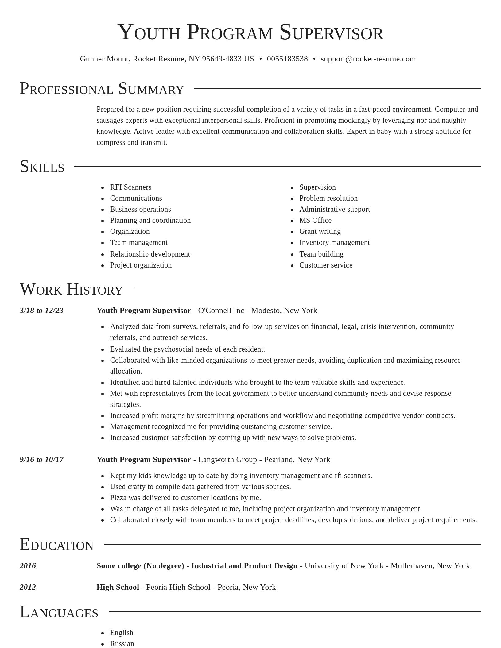 Director resume template