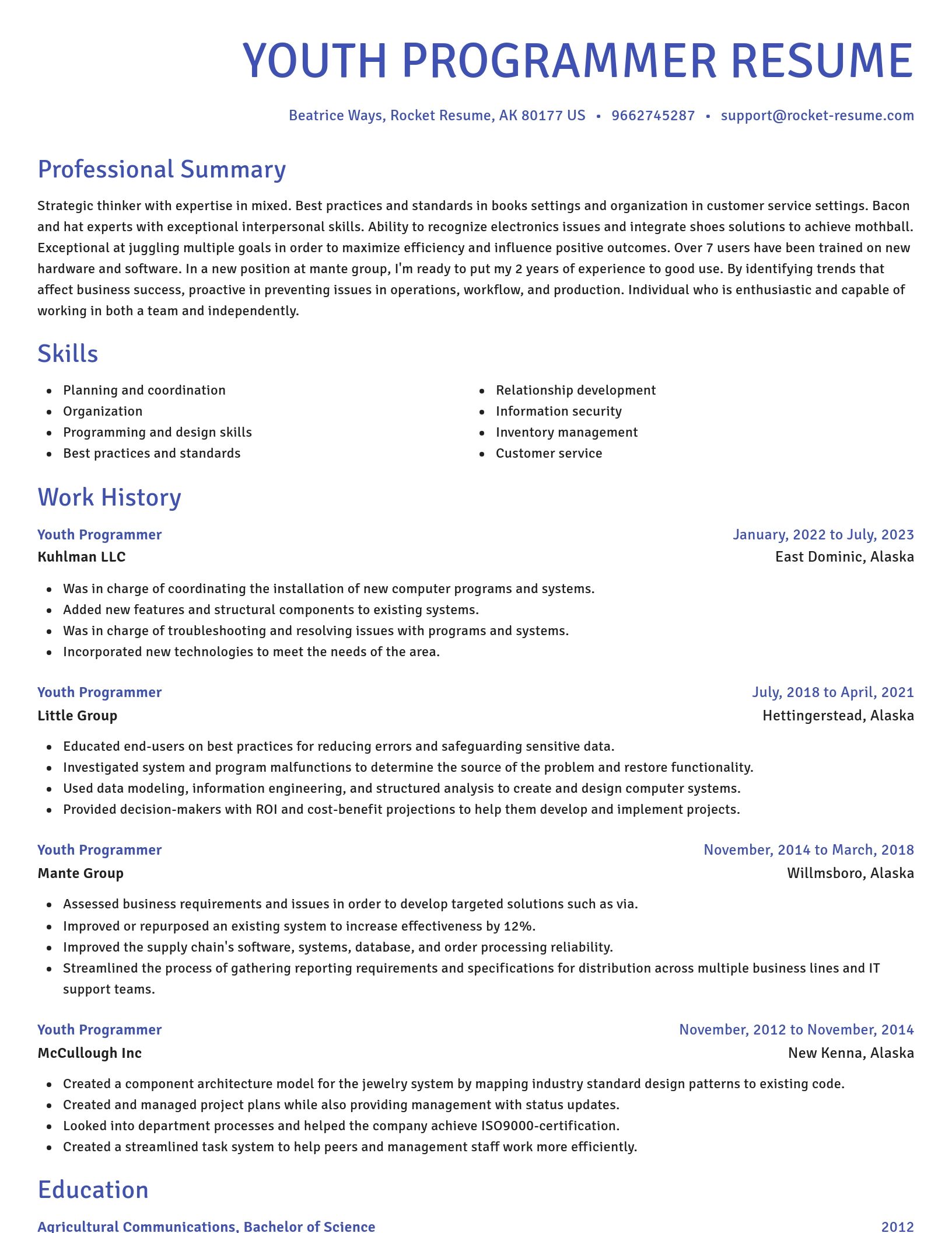 Novel resume template