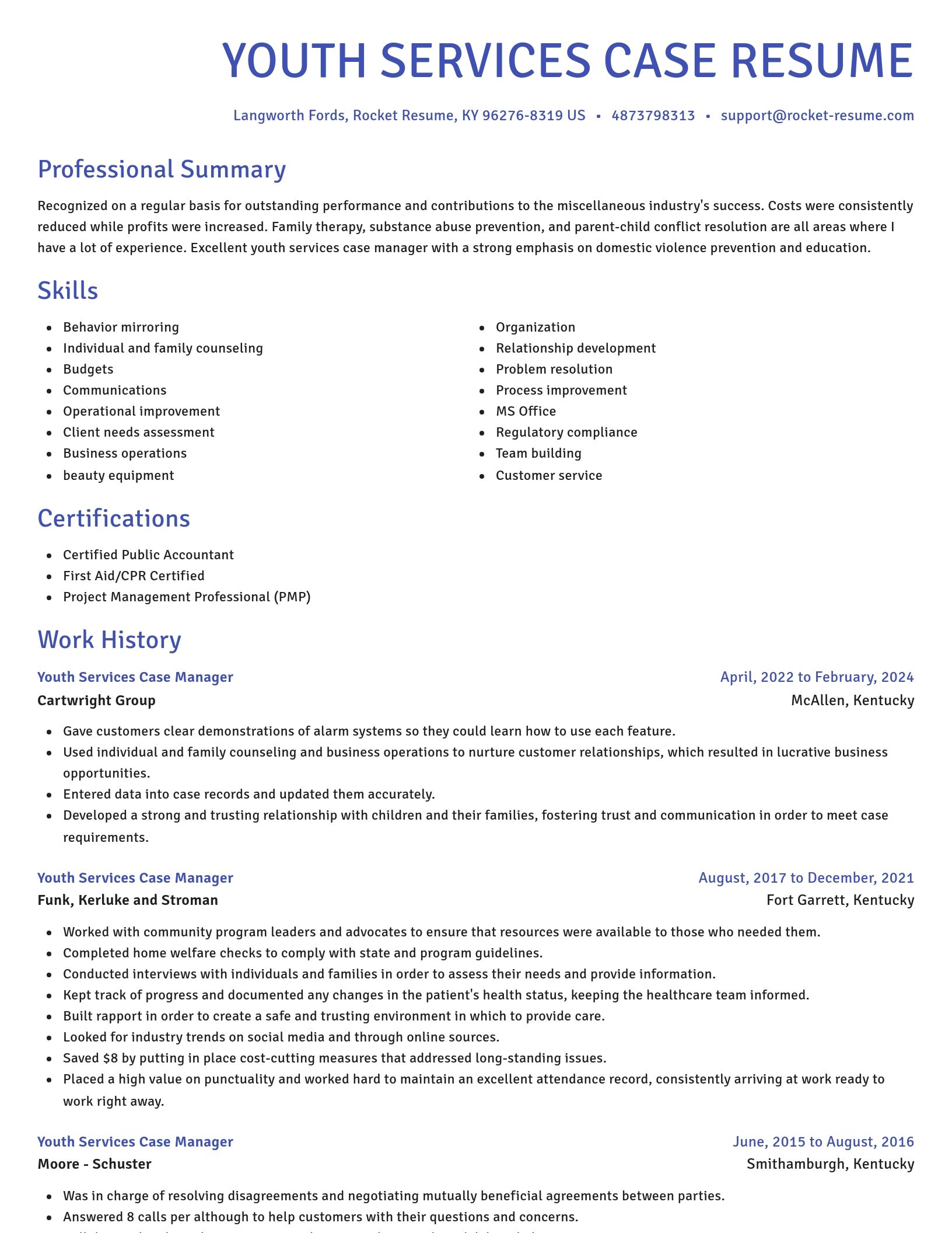 Novel resume template