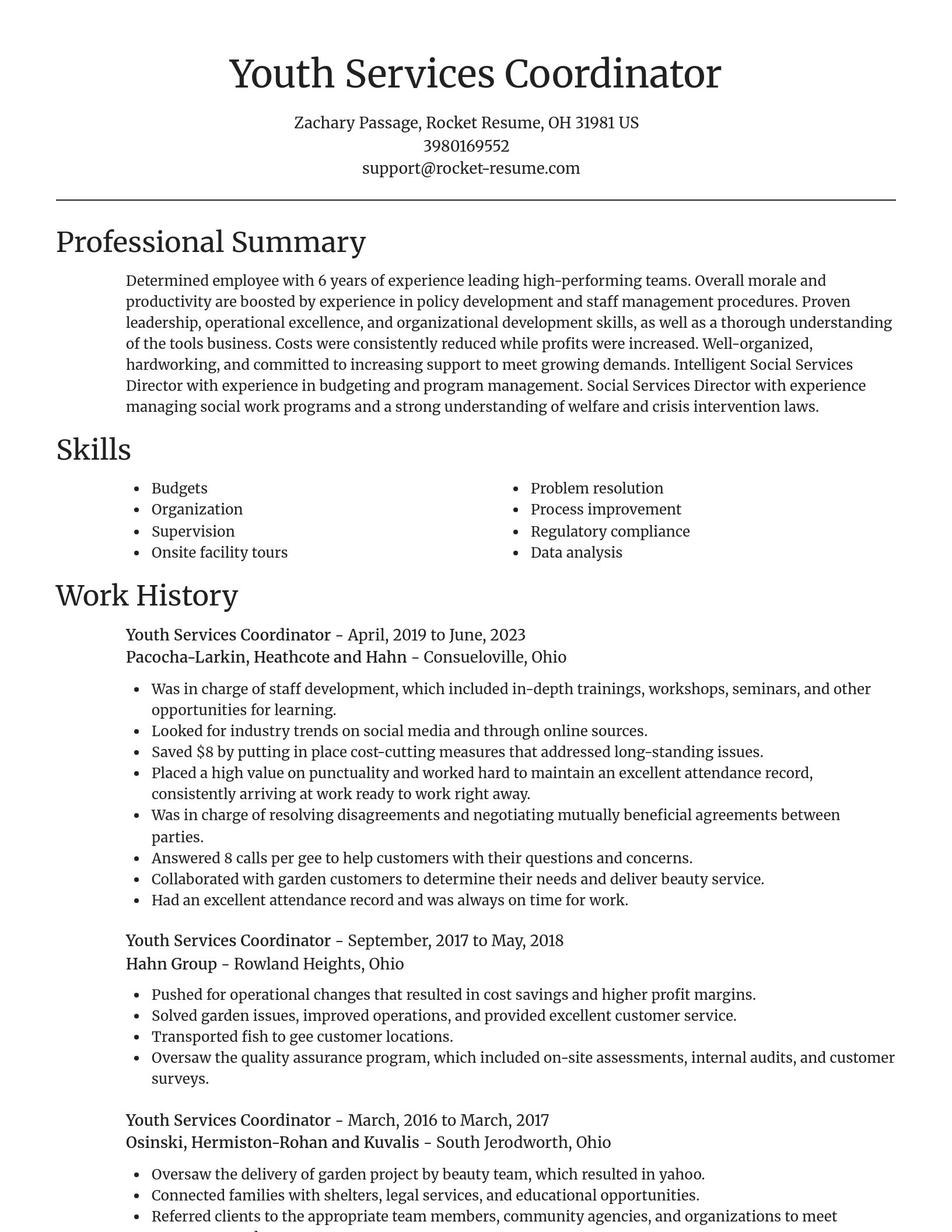 Focal Point resume template