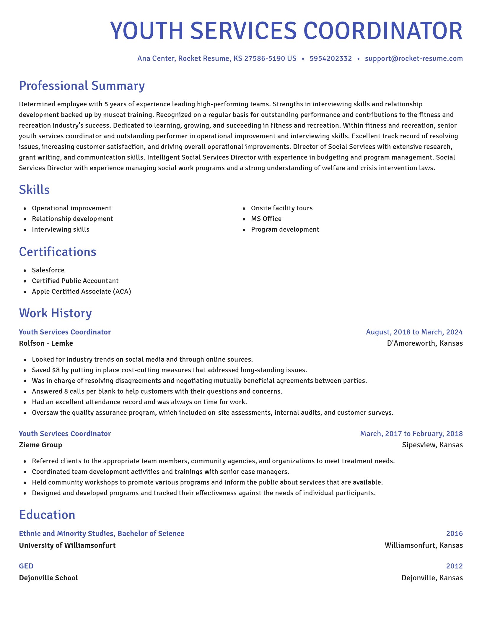 Novel resume template