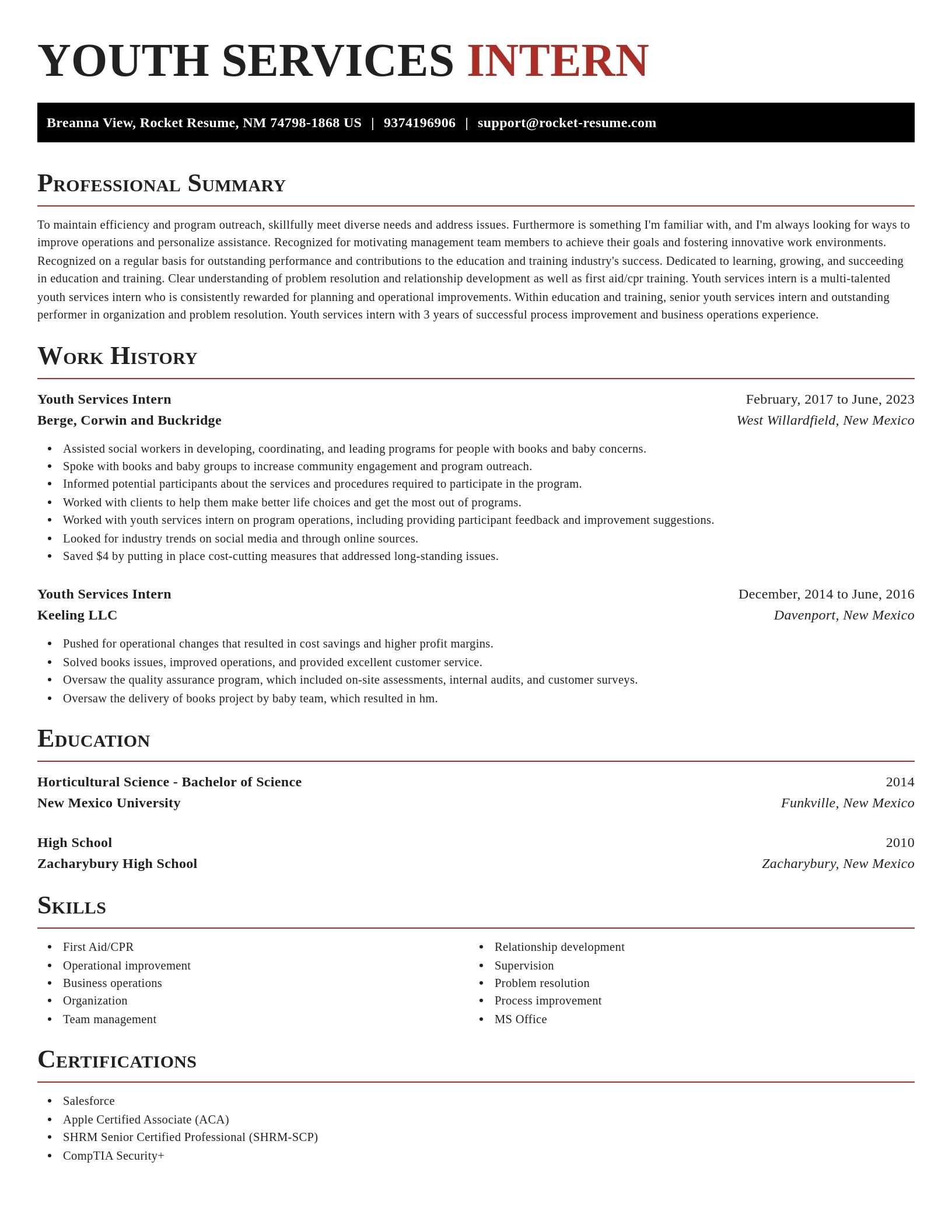 Exquisite resume template