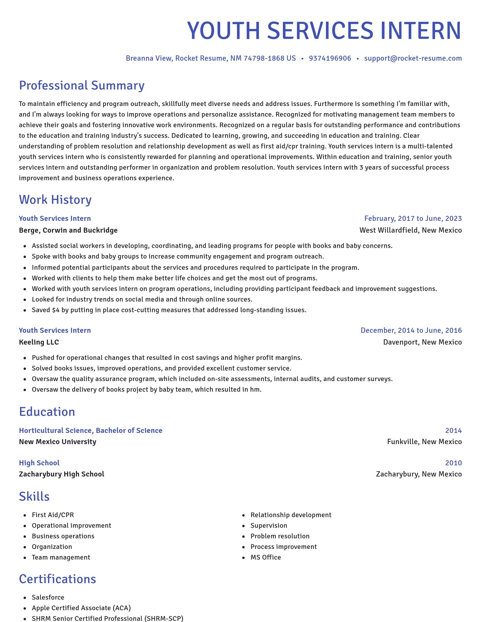Novel resume template