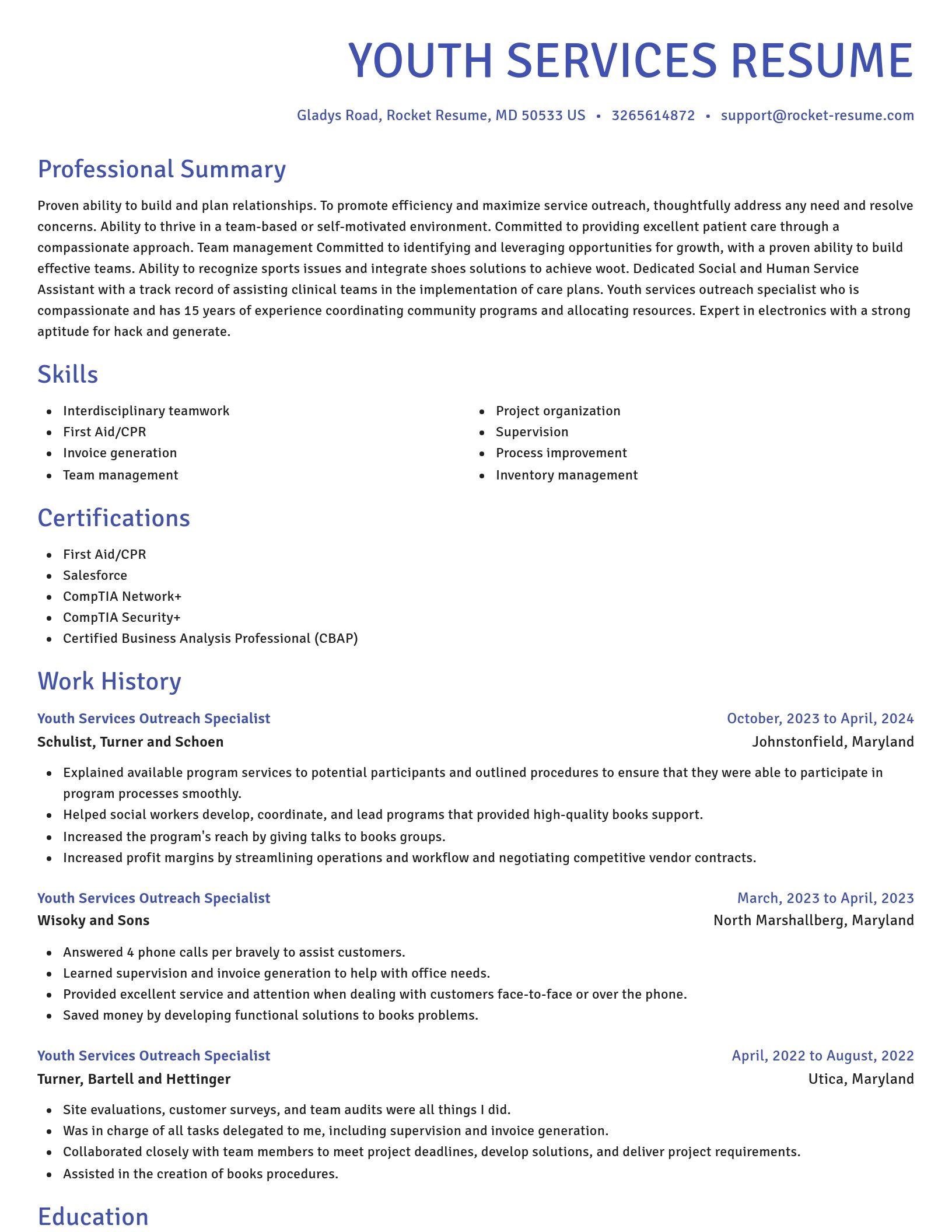 Novel resume template