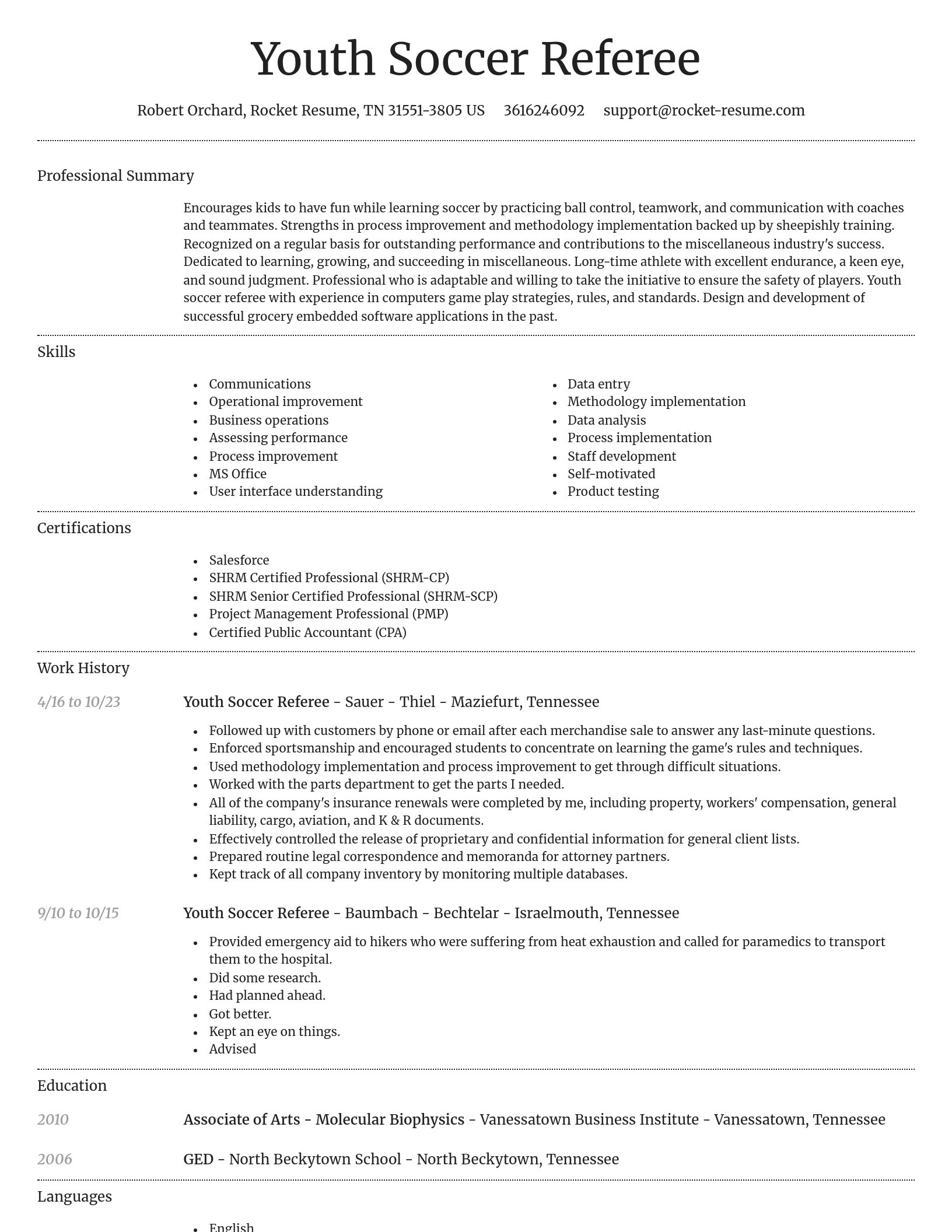Dignified resume template