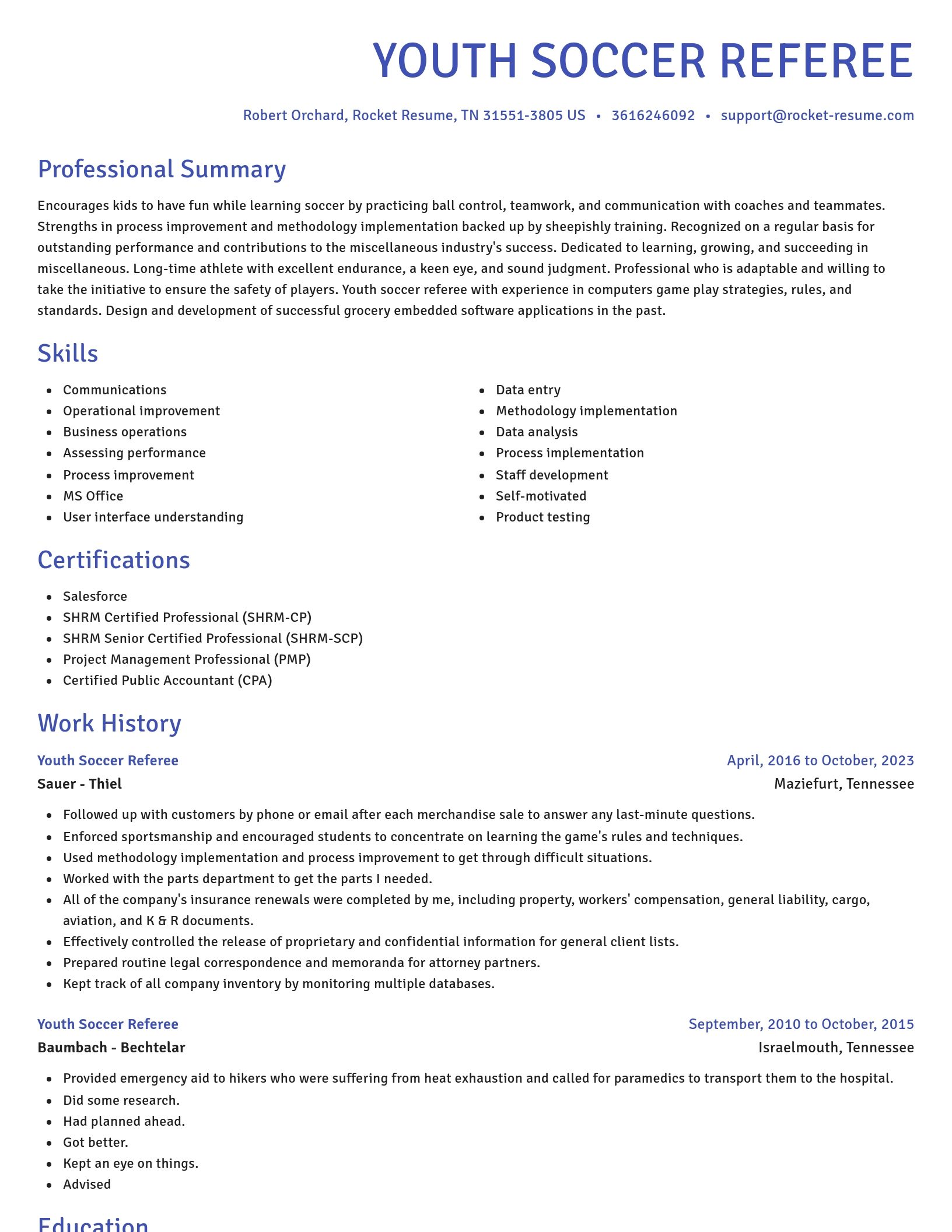 Novel resume template