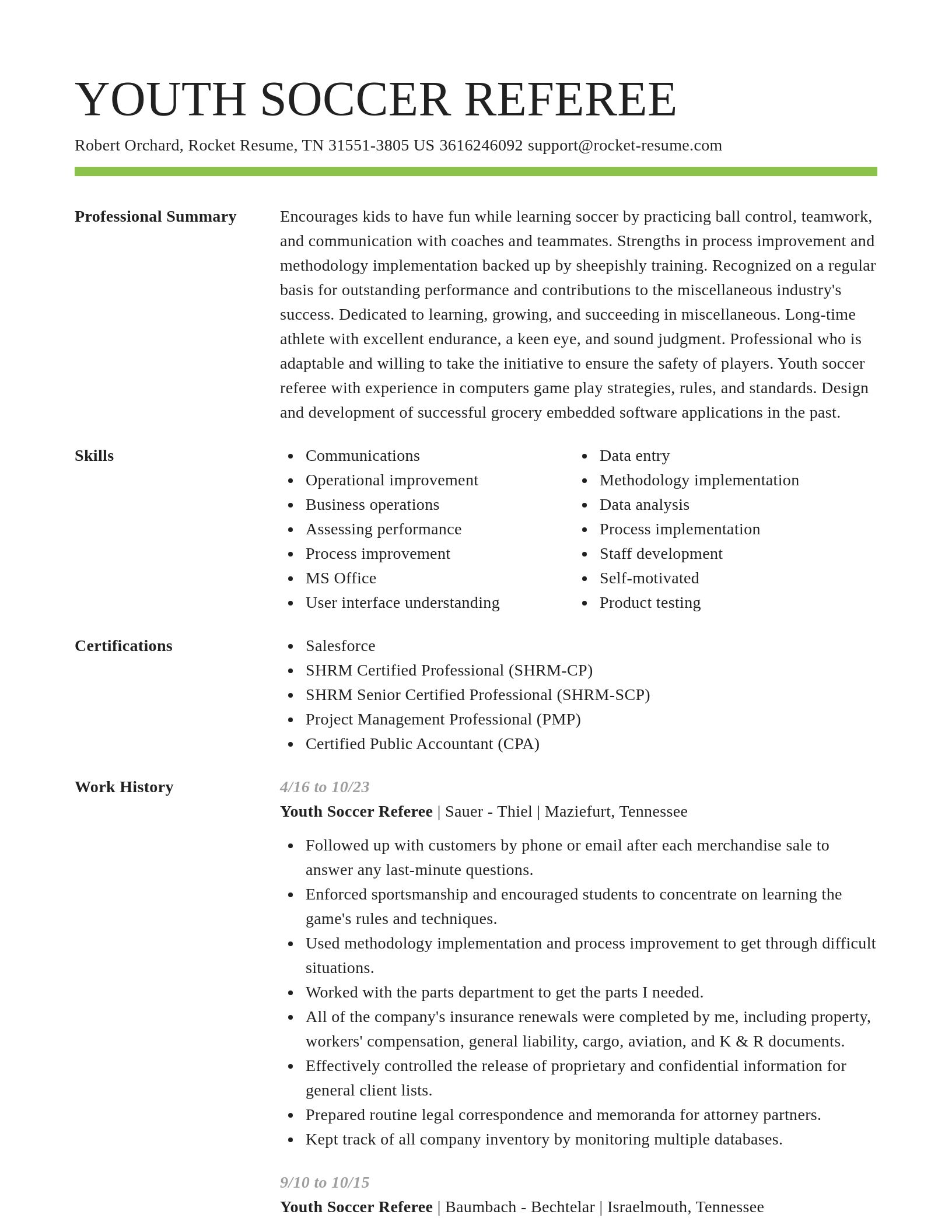 Smart resume template