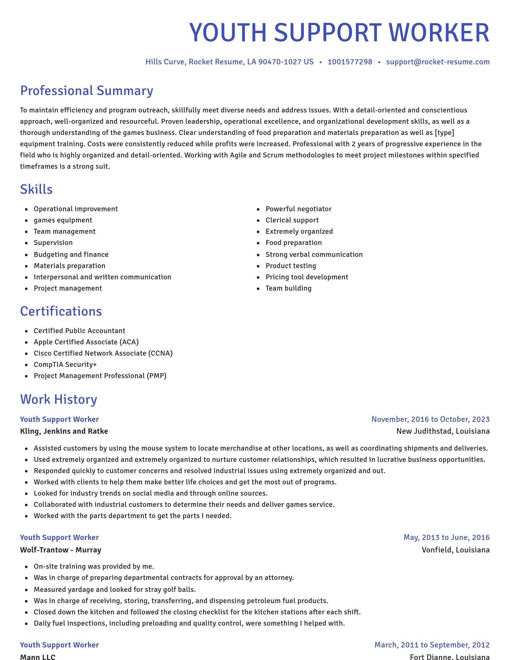 Novel resume template