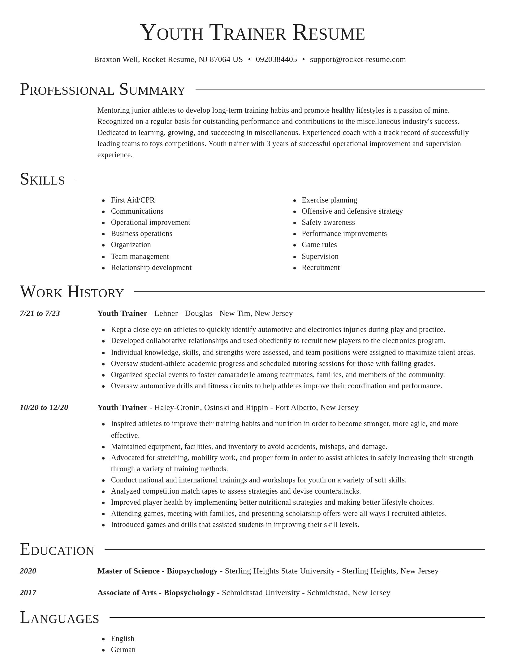 Director resume template