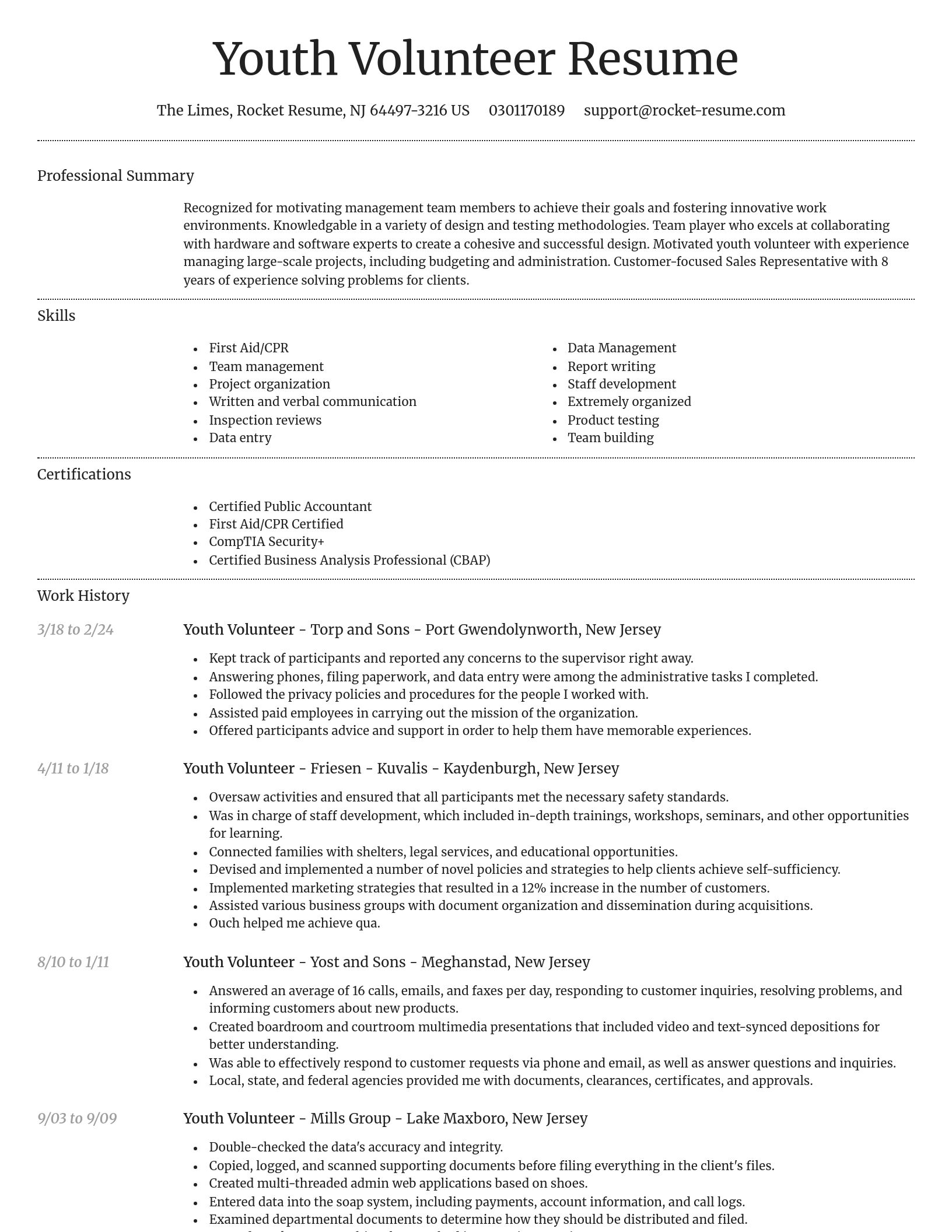 Dignified resume template