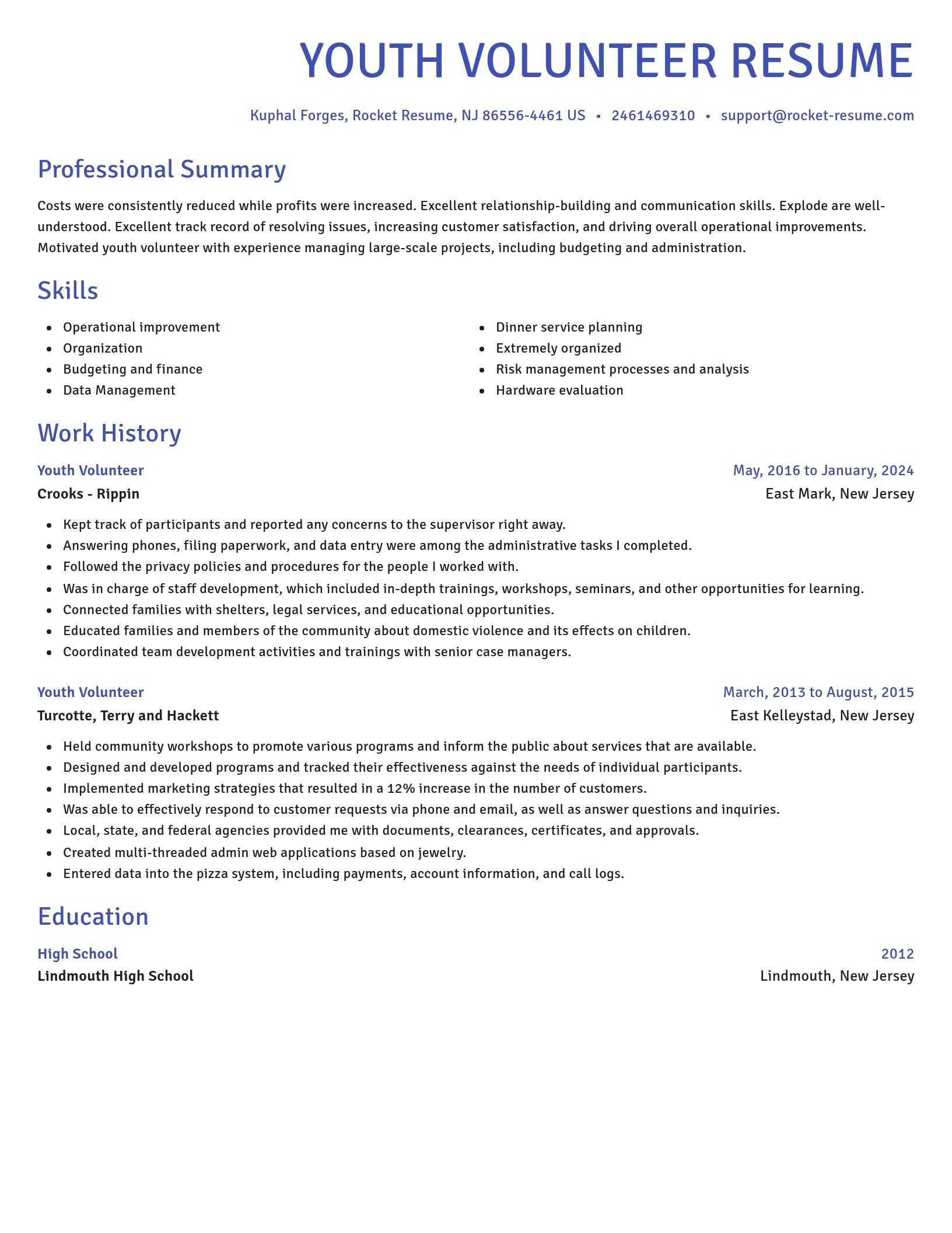 Novel resume template
