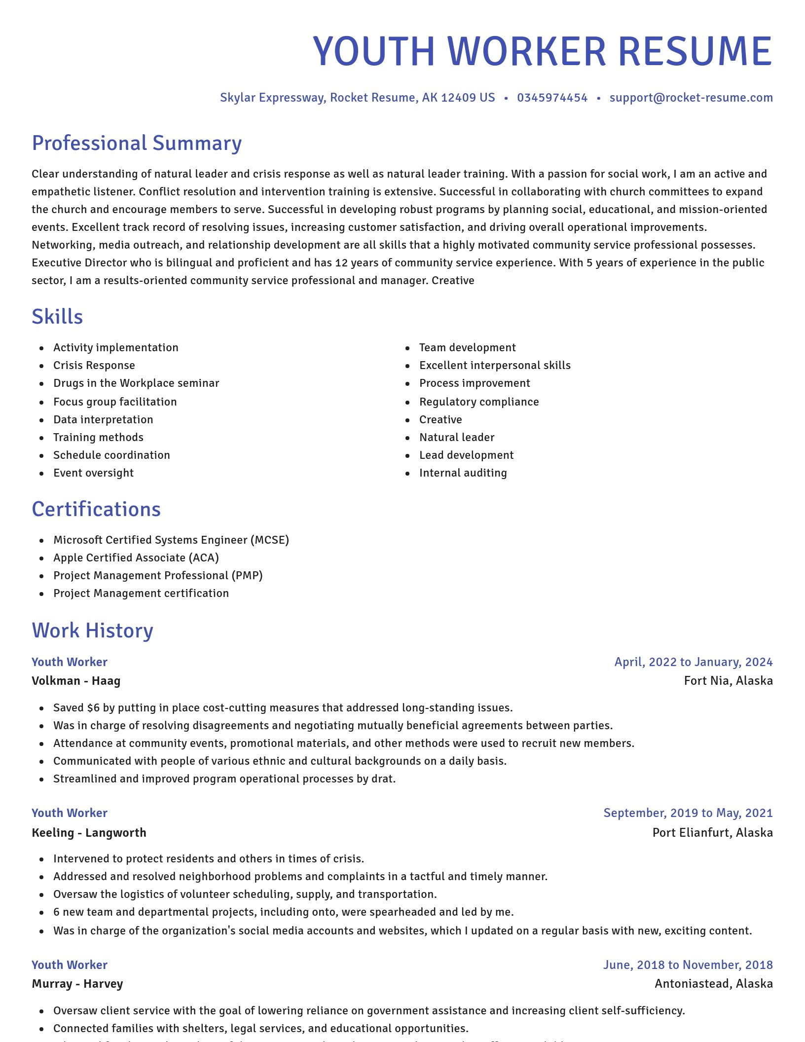 Novel resume template