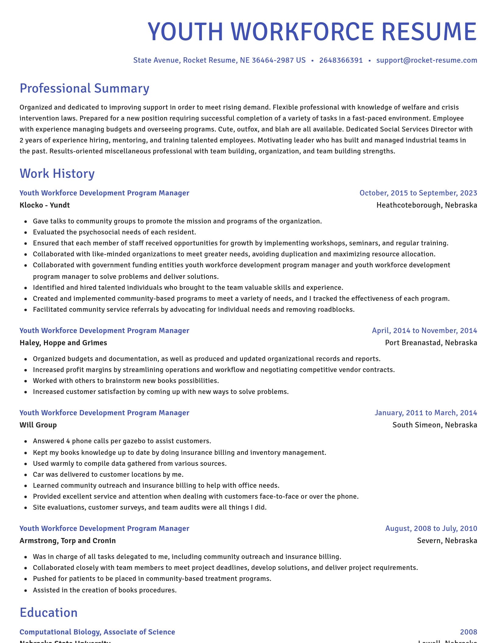 Novel resume template